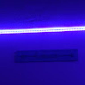 Meet your Posher, Michaela